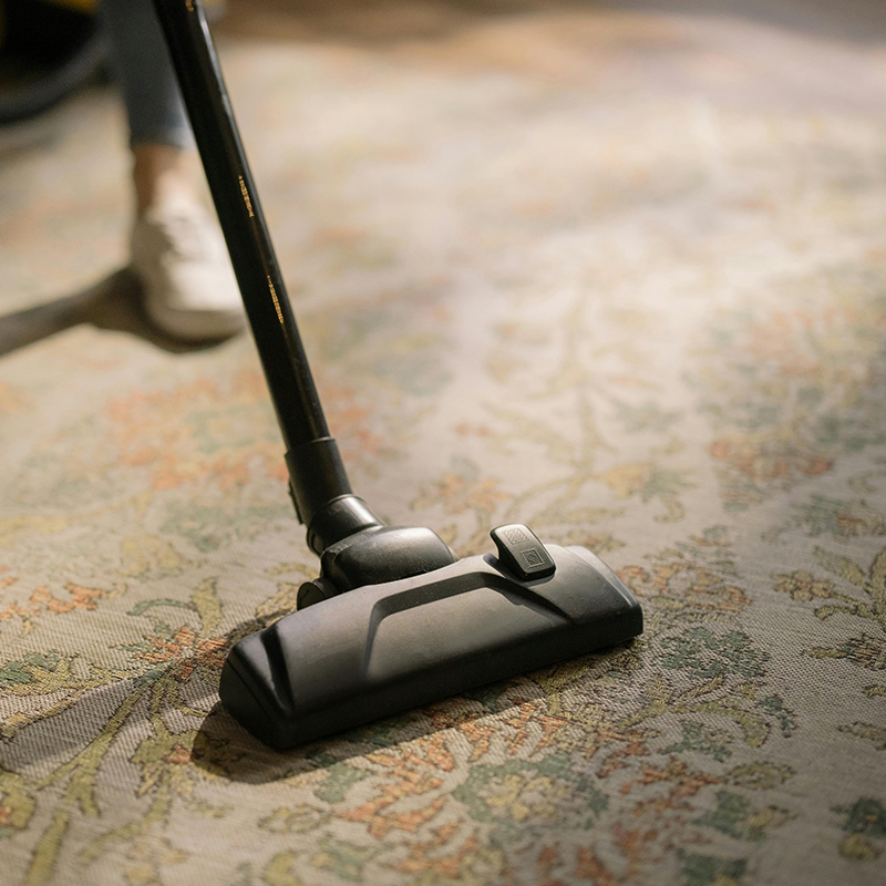 megathos-carpet cleaning